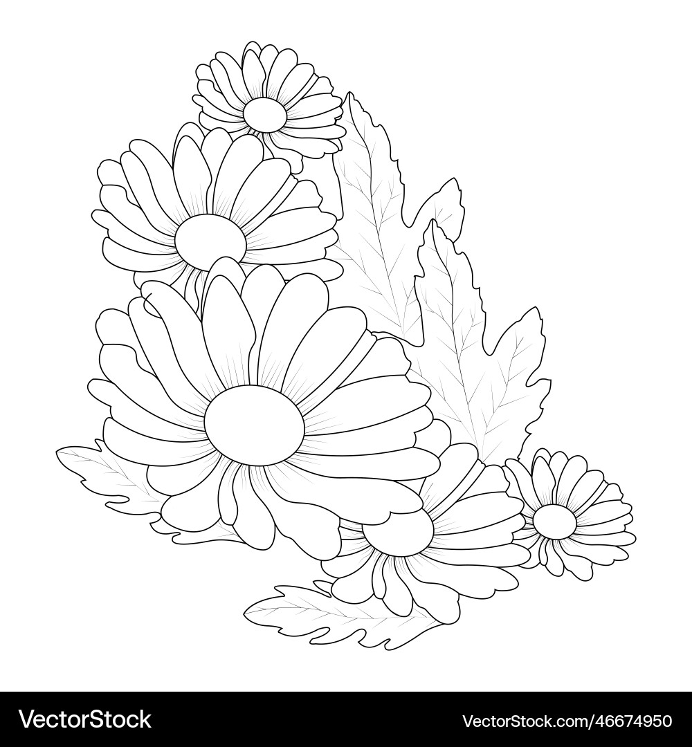 Shasta Daisy Vector Images (69)