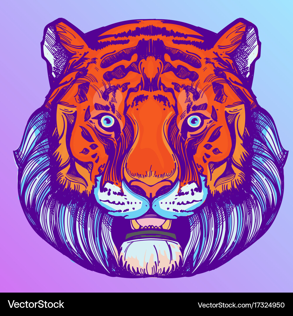 Muzzle of a tiger for creating sketches vector image