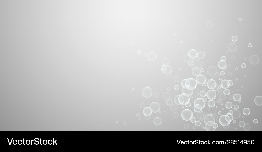 Random soap bubbles abstract background blowing b vector image