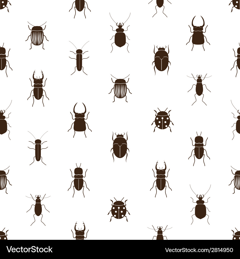 Seamless Beetle and Bug Pattern vector image