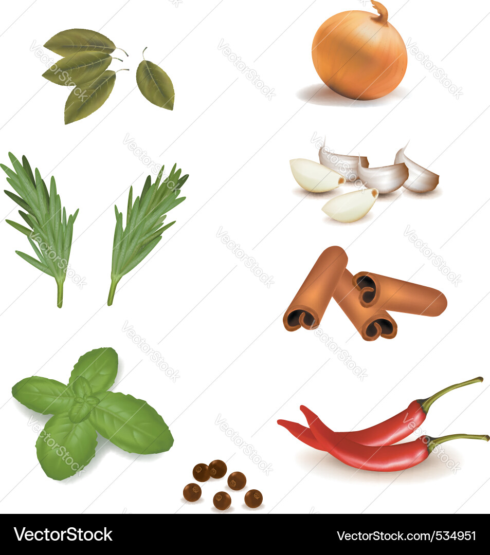 Assorted Spice Collection Vector Image
