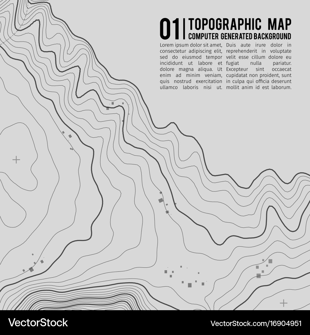 Detailed Topographic Map Background Vector Image