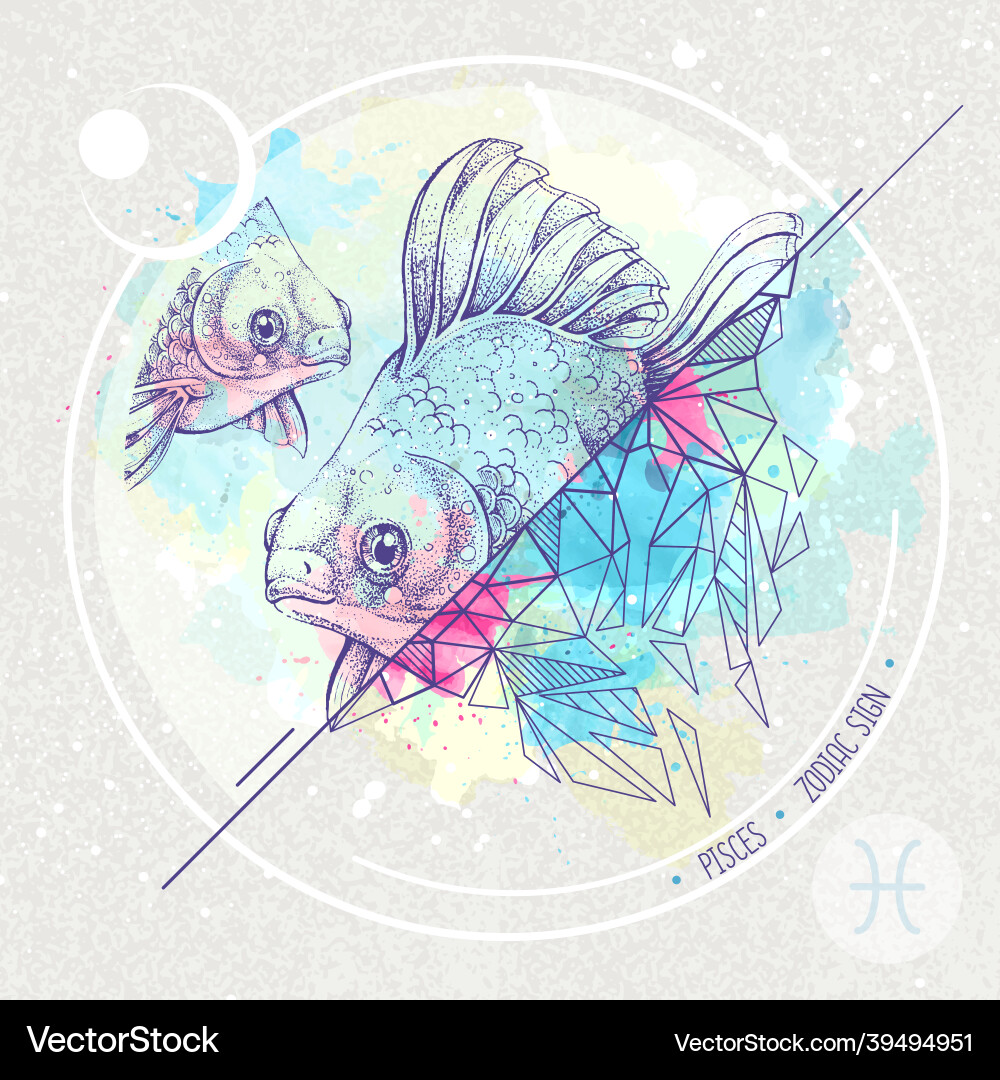 Realistic hand drawing and polygonal koi fish Realistic hand drawing and polygonal koi fish vector image