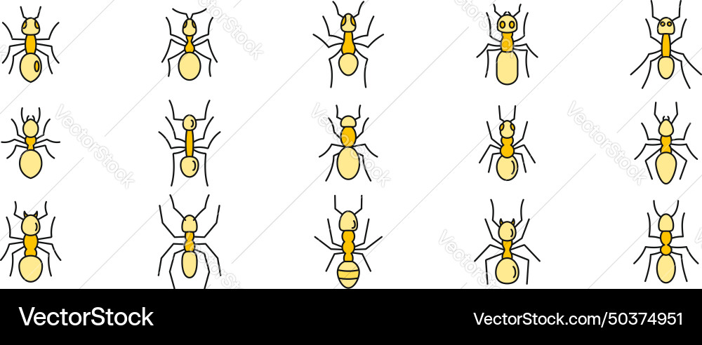 Wild ant icons set color line vector image