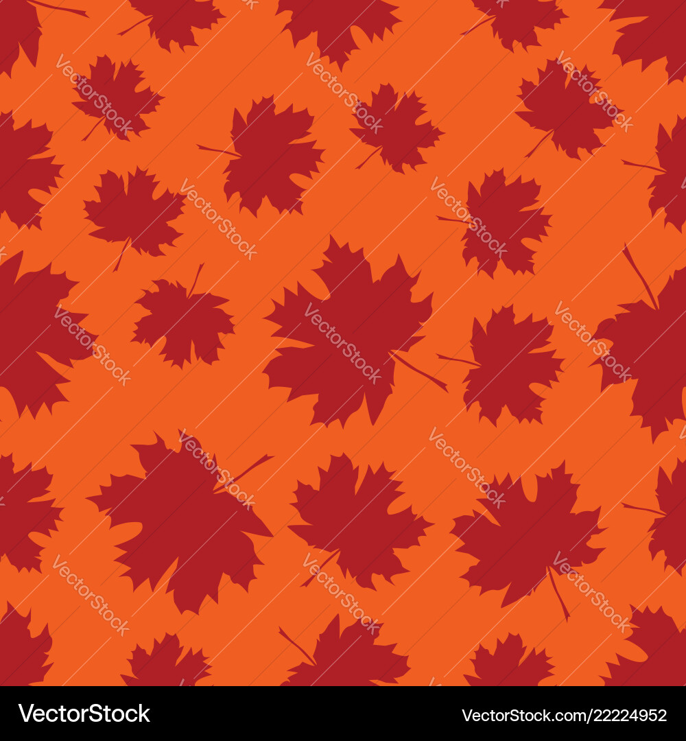 Seamless pattern with autumn maple leaves vector image