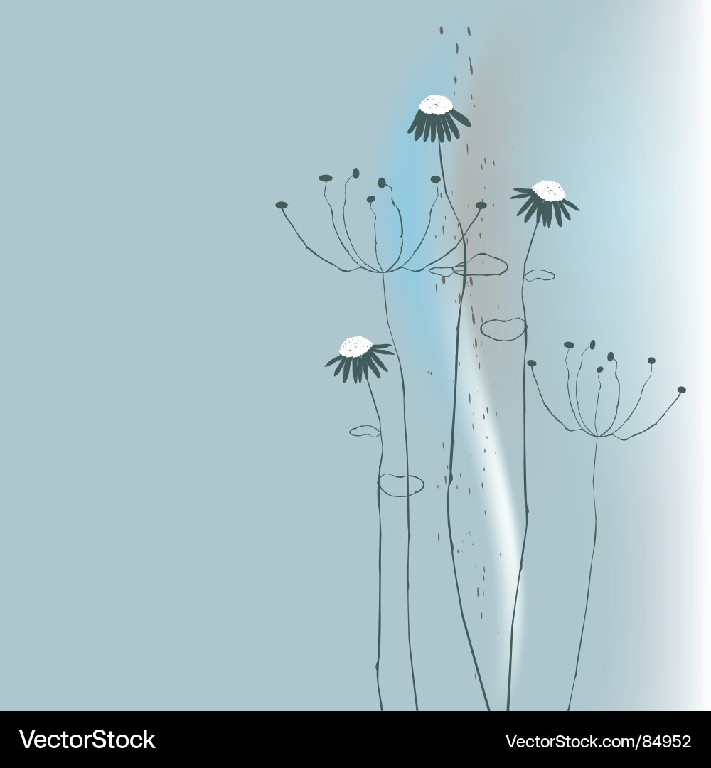 Wild flower Royalty Free Vector Image - VectorStock