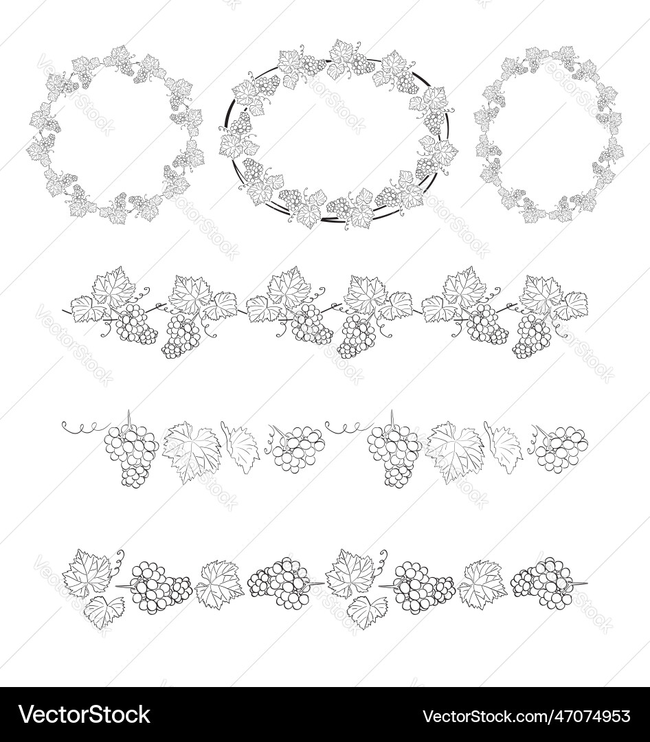 Set of frames and seamless borders with grape Vector Image