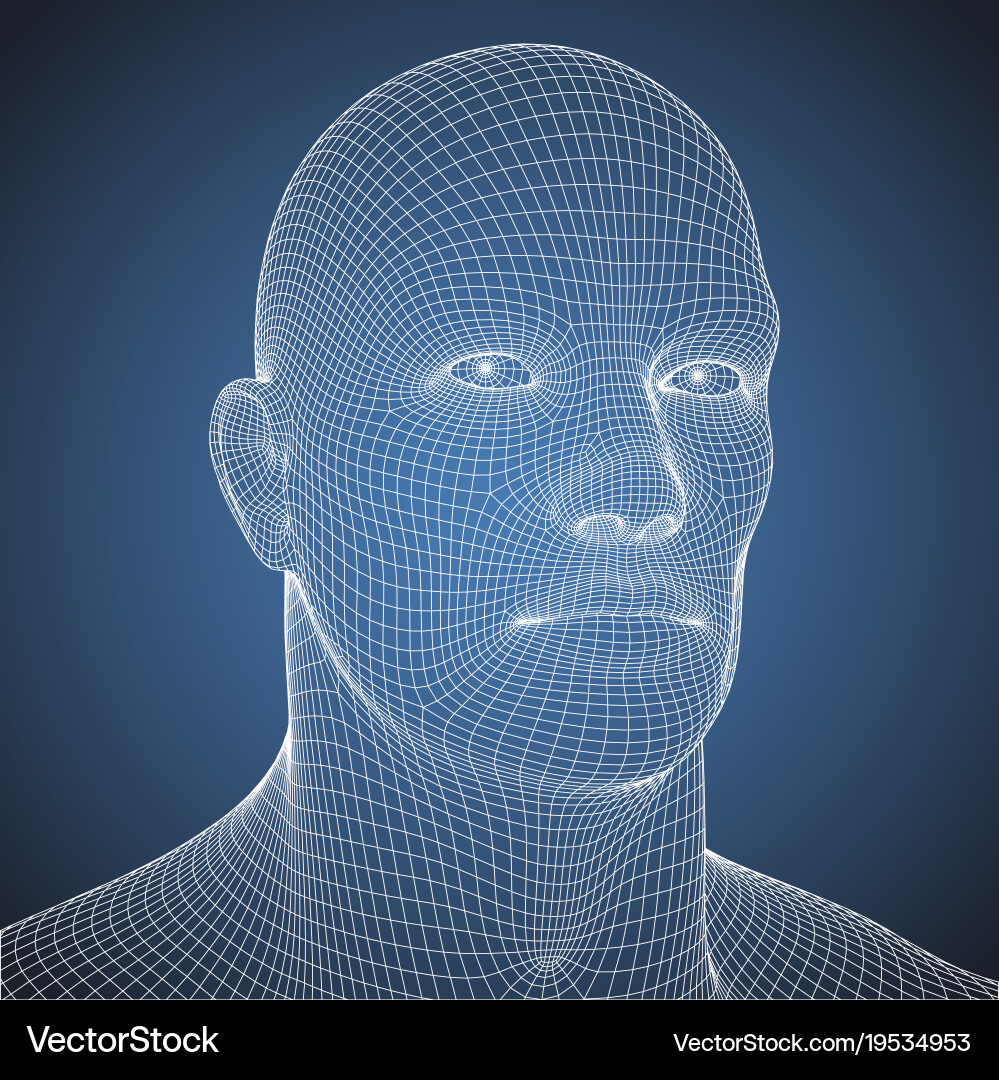 Wire frame blue print human head Royalty Free Vector Image