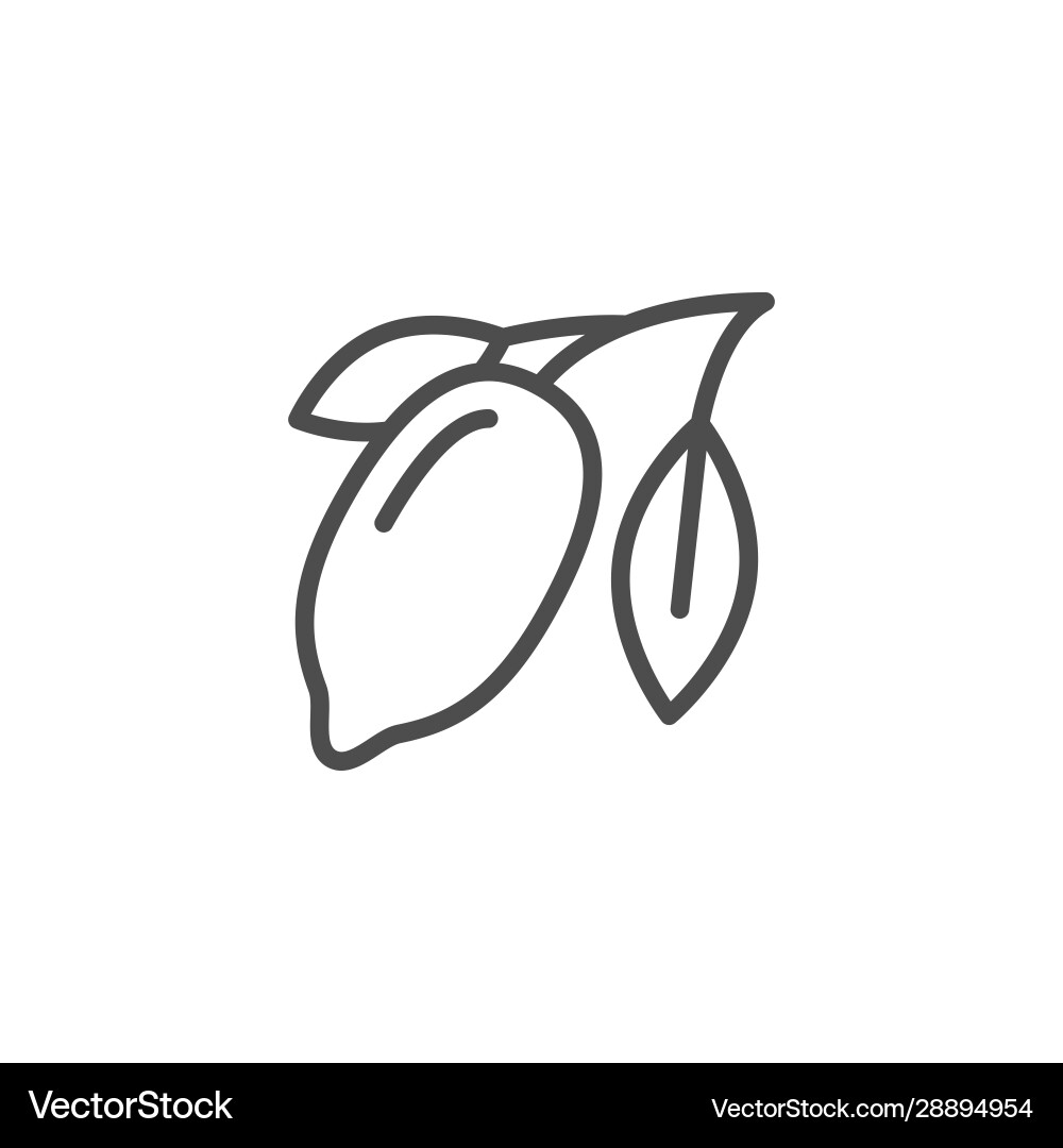Cacao Baum Linie Kontur Symbol Cacao Baum Linie Kontur Symbol vektorbild