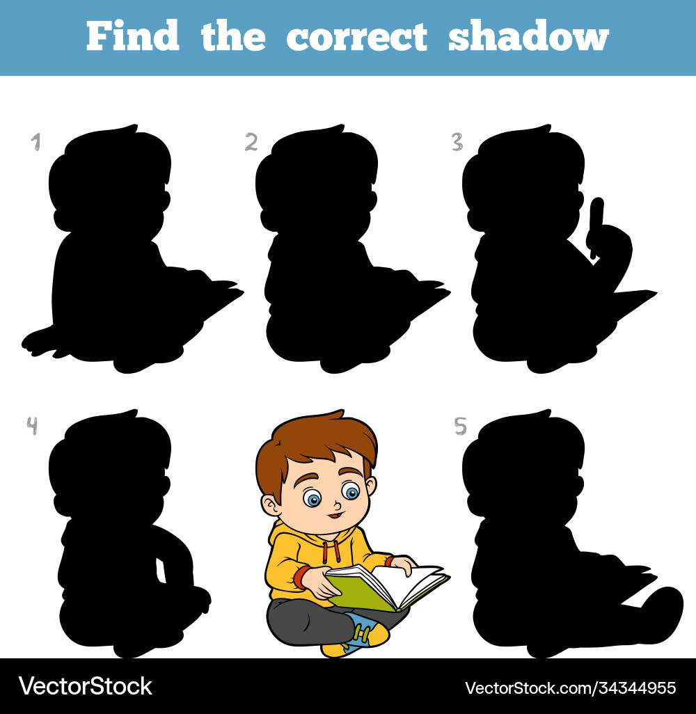Find correct shadow game for children young Vector Image