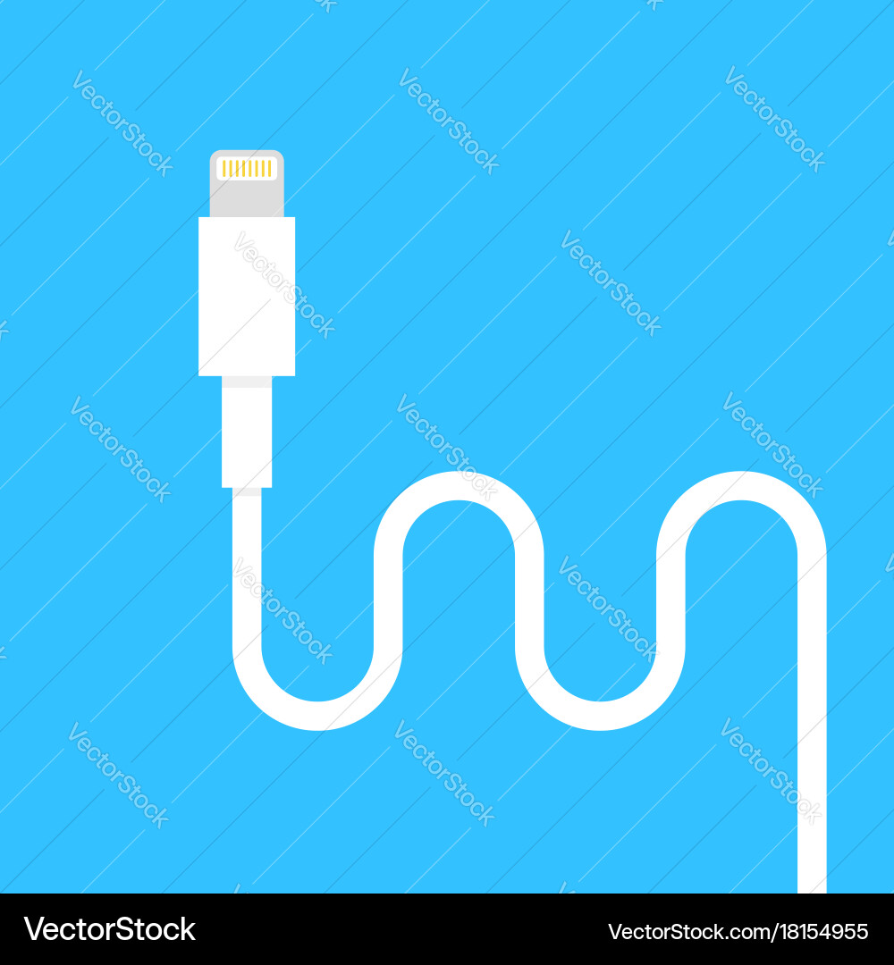 Lightning Connector vector image