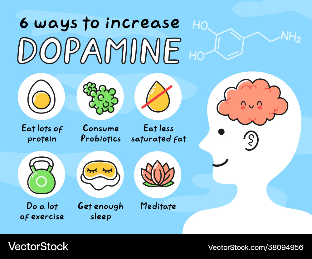 Dopamine Boost: Increase Happiness – Royalty-Free Vector | VectorStock