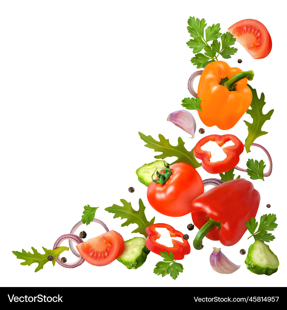 Vegetable salad isolated Royalty Free Vector Image