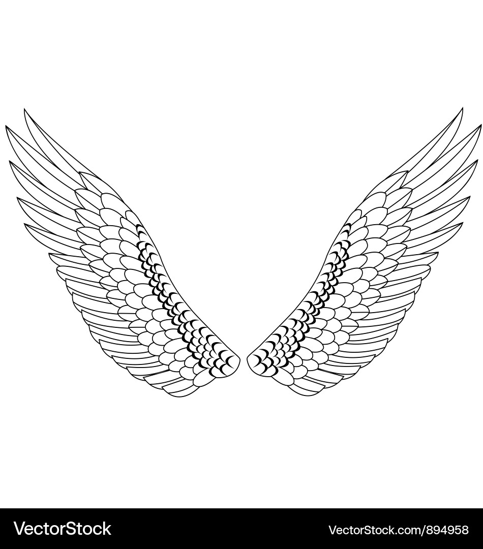 Wings vector image