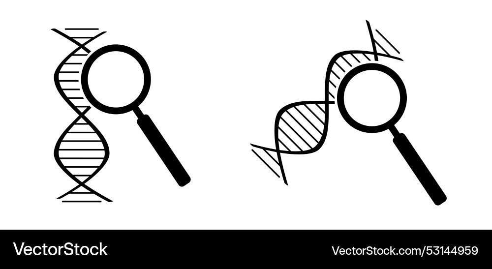Dna with magnifying glass string double helix Dna with magnifying glass string double helix vector image