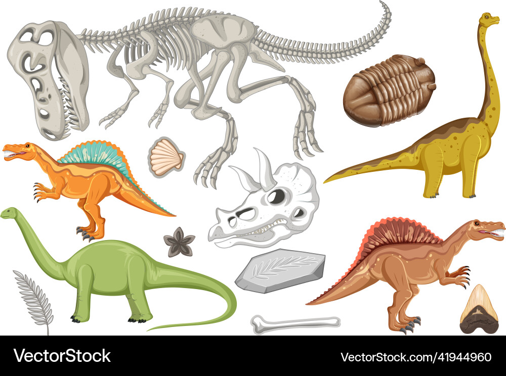 A set of dinosaur and fossil Vector Image