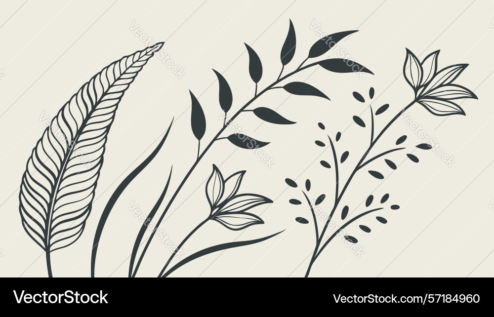 Abstract botanical elements with feather-like Vector Image