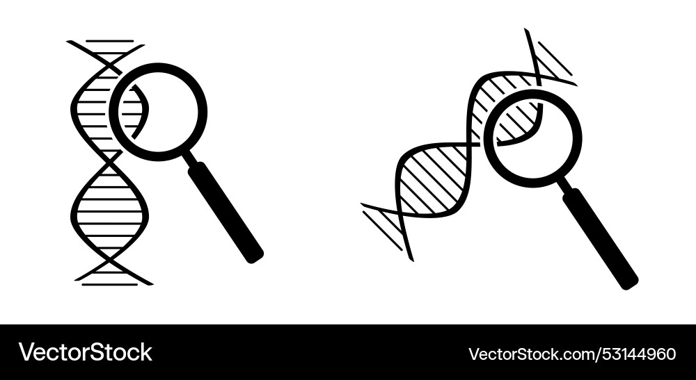 Dna with magnifying glass string double helix Dna with magnifying glass string double helix vector image
