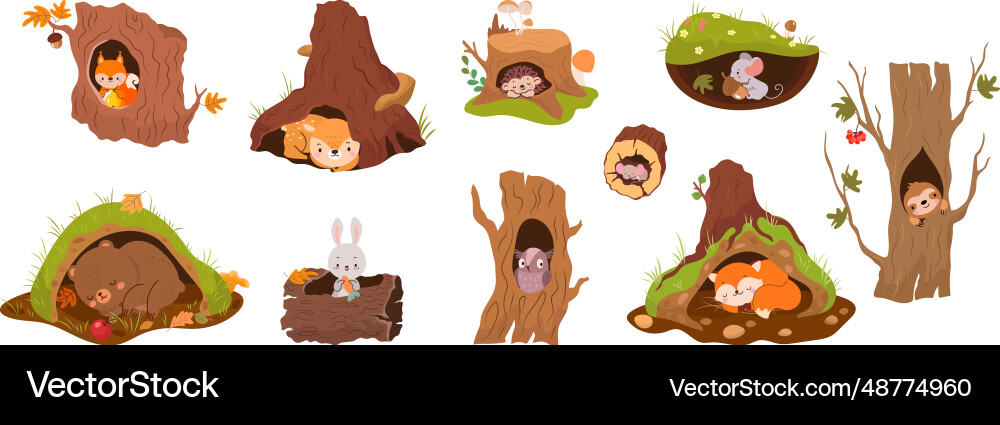 Forest animals inside holes and burrows tree Forest animals inside holes and burrows tree vector image