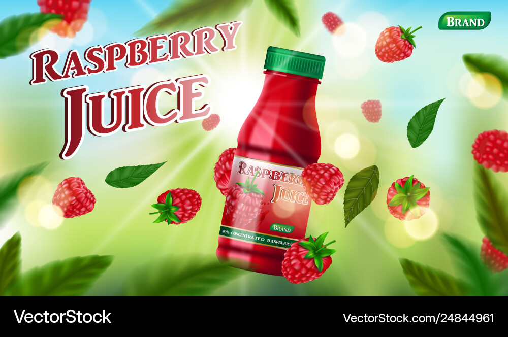 Raspberry juice bottle template for package design Raspberry juice bottle template for package design vector image