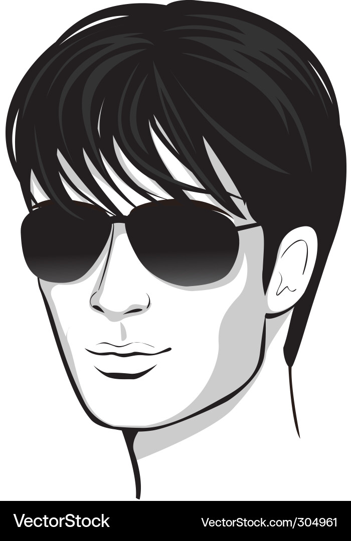 Stylish Man Portrait vector image