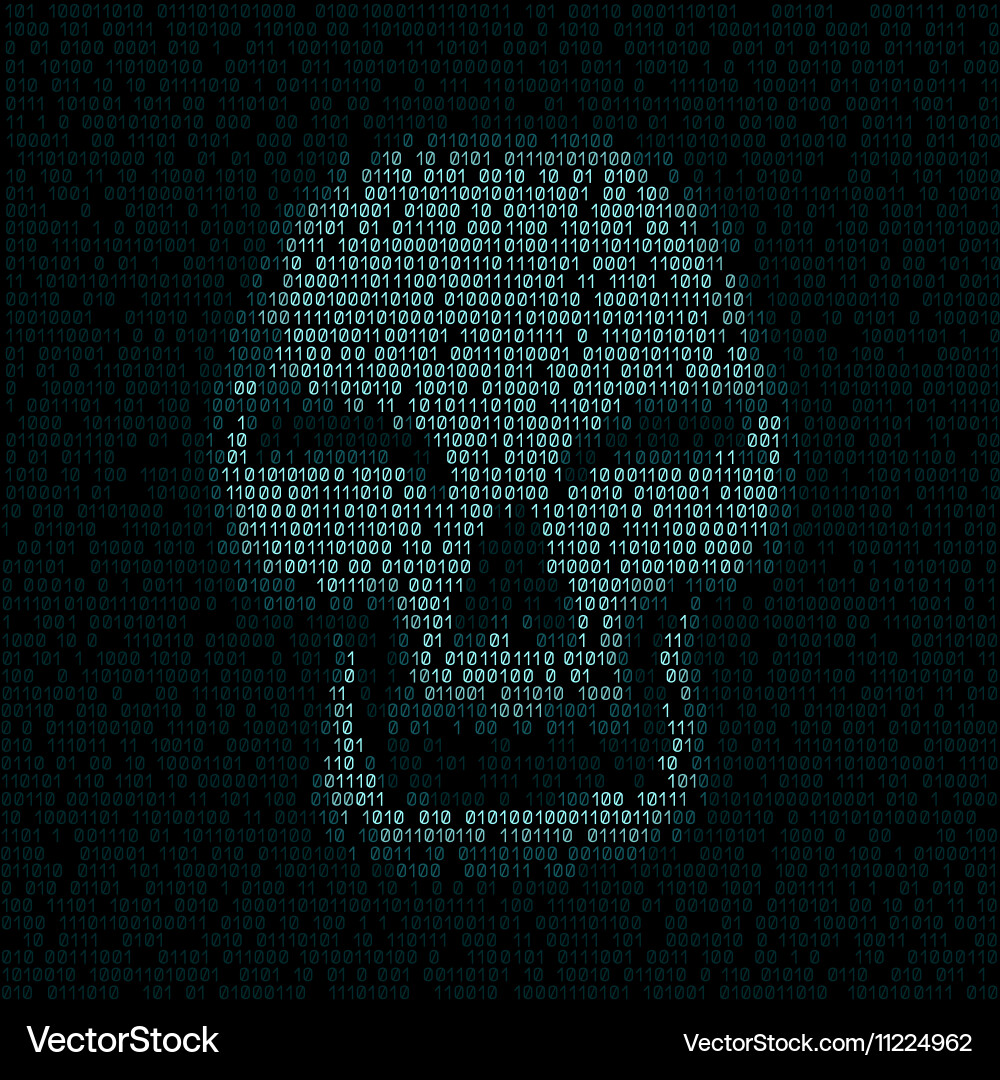 Hacked Code Skull Vector Image