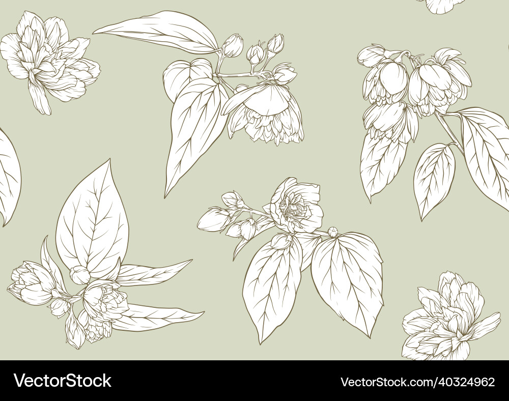 Jasmine seamless pattern background outline Jasmine seamless pattern background outline vector image