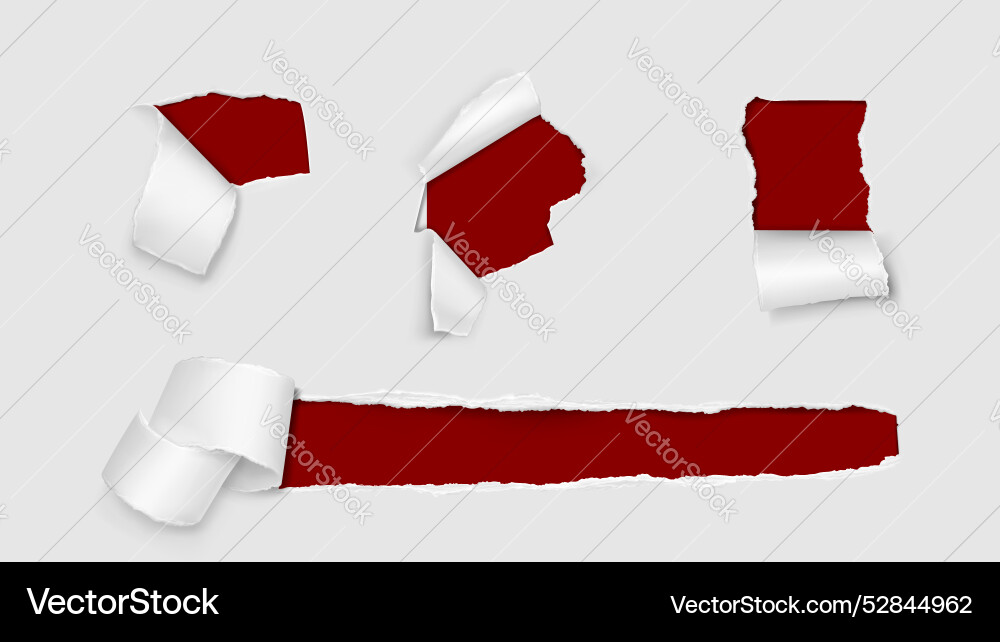 Torn Paper and Scroll vector image