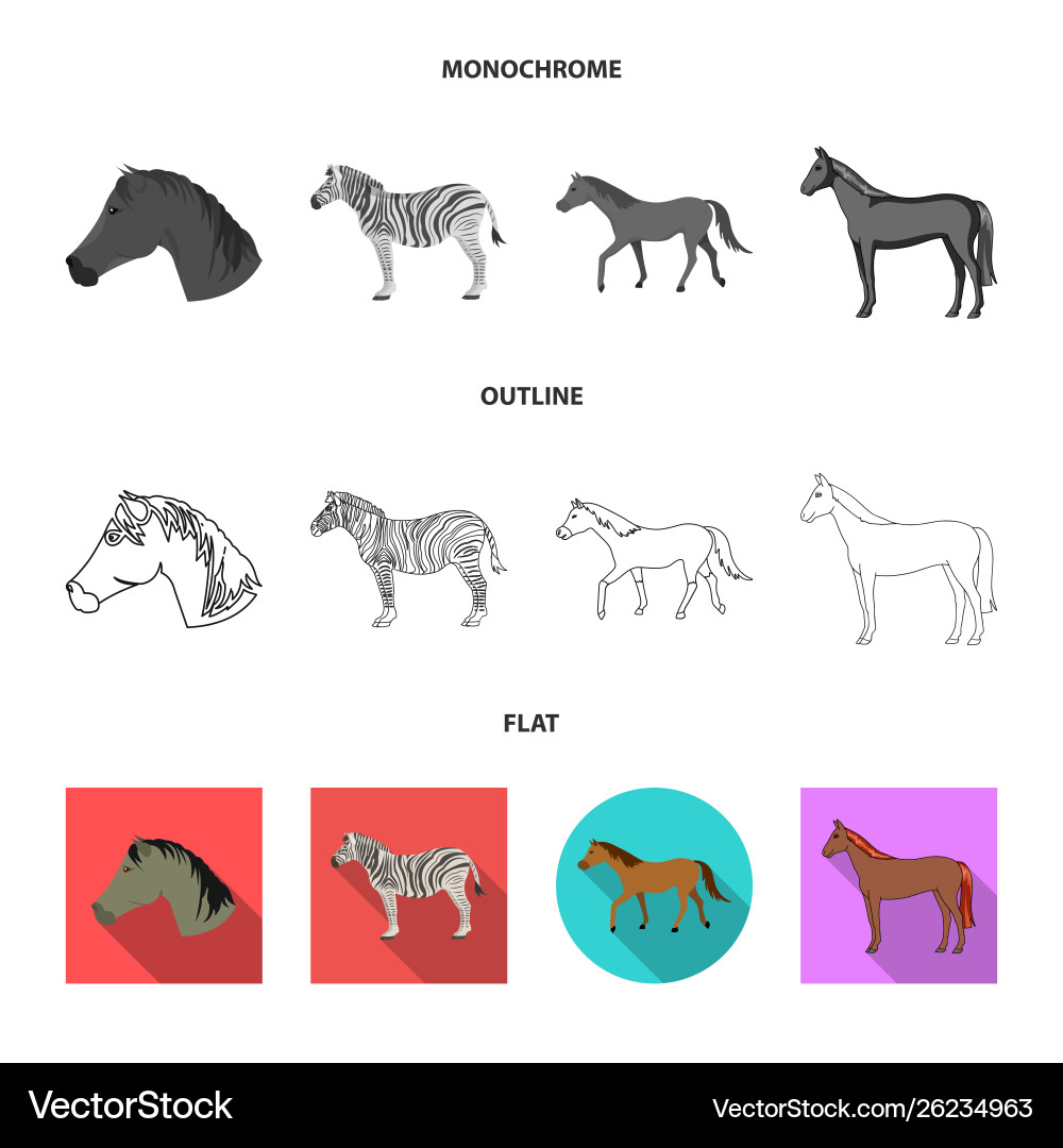 Isolated object trot and running icon set vector image
