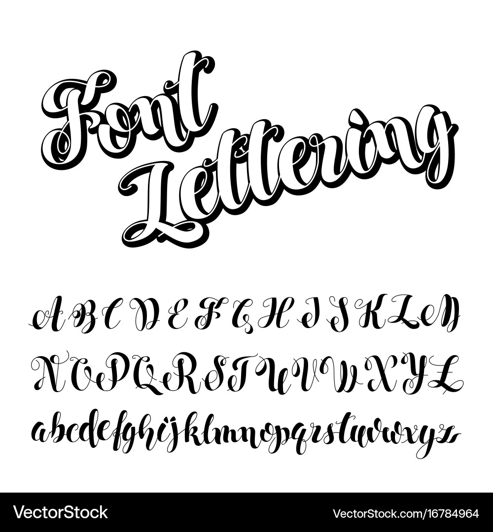 Elegant Calligraphic Symbols vector image