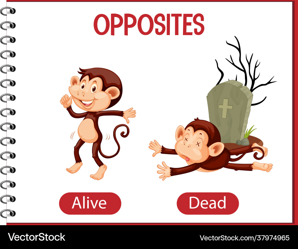 Opposite words with alive and dead vector image