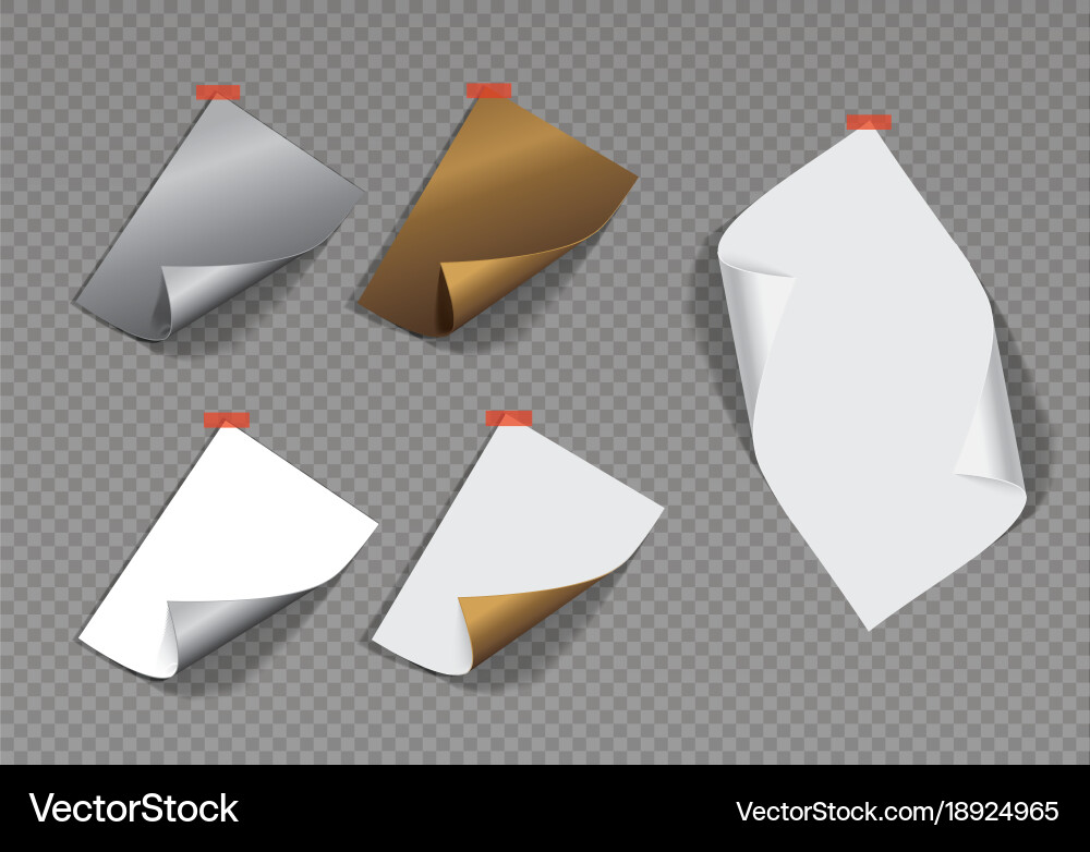 Page curl with shadow on a blank sheet of paper vector image
