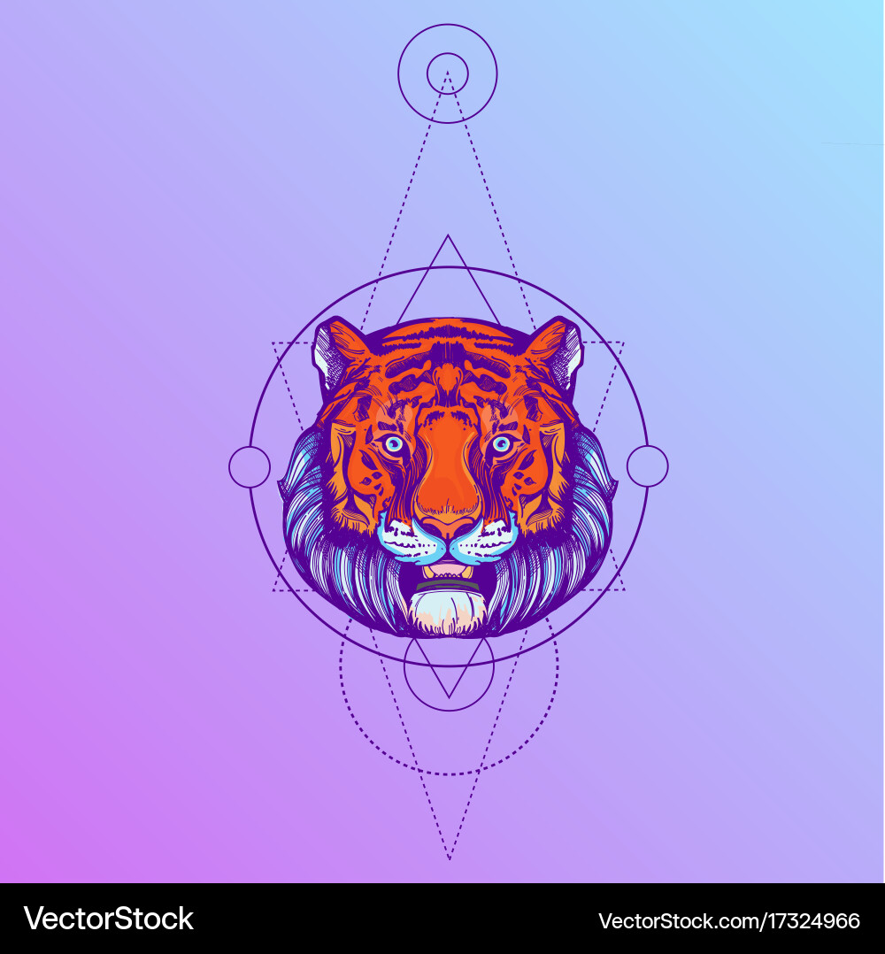 Muzzle of a tiger for creating sketches vector image