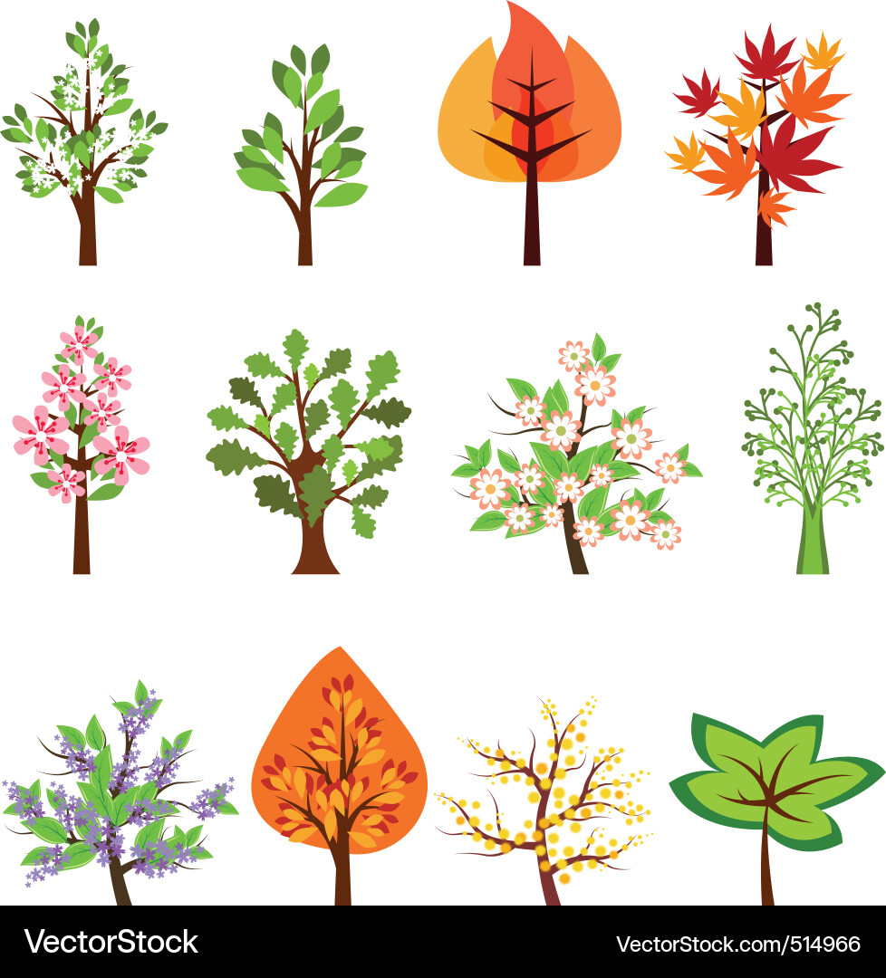 Set of different beautiful trees vector image
