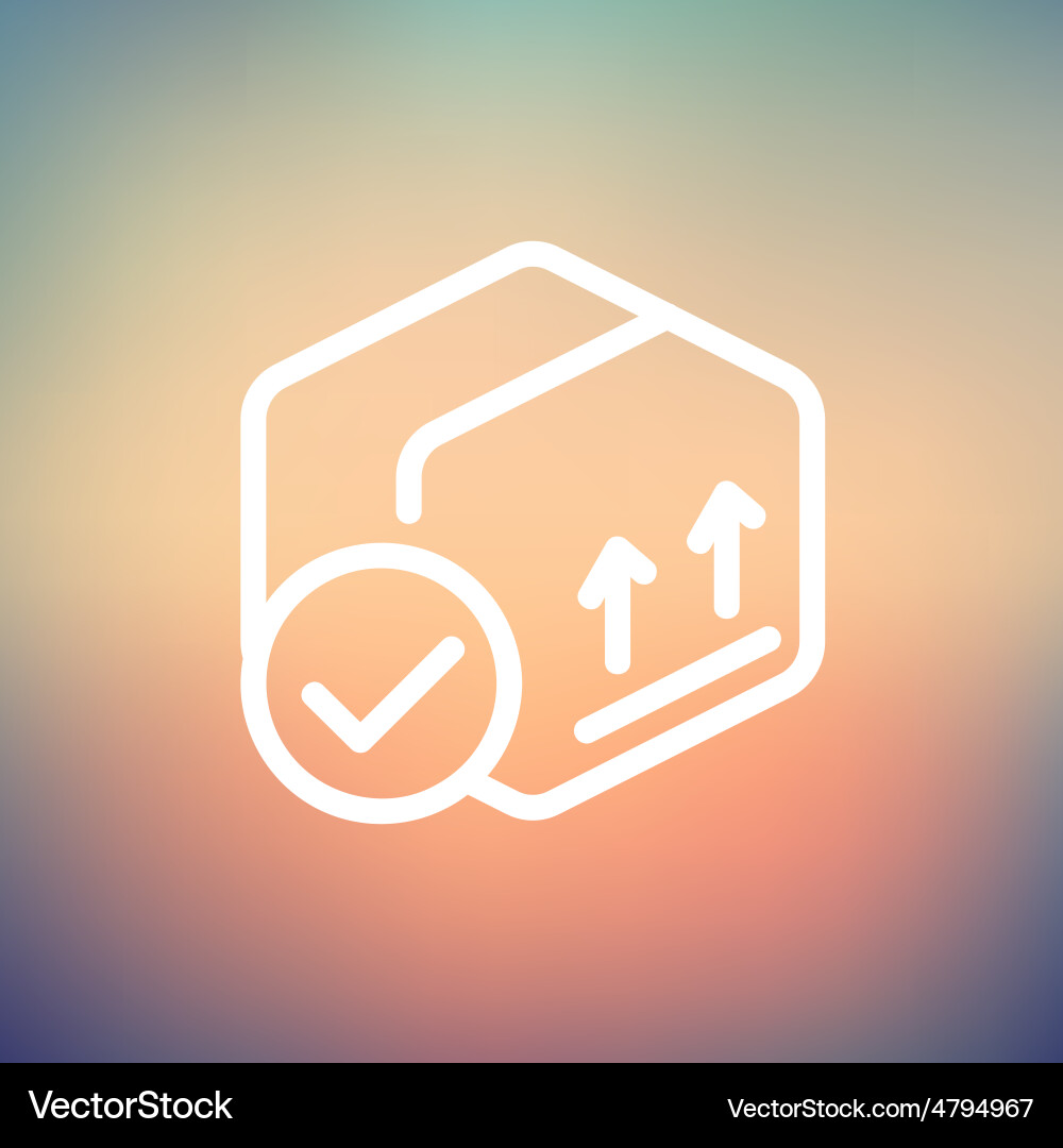 Box with validation mark thin line icon vector image