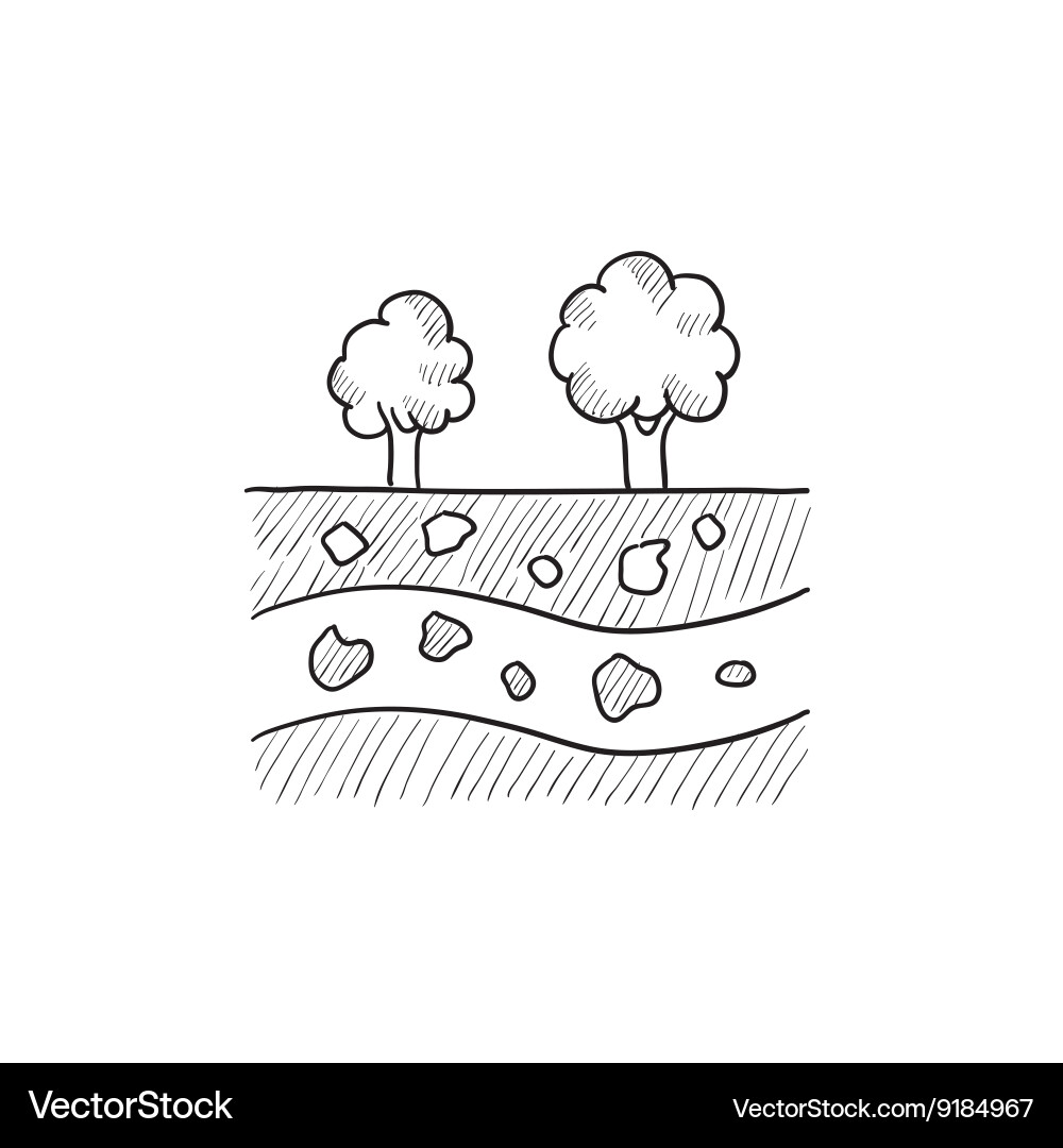 Cut of soil with different layers sketch icon Vector Image