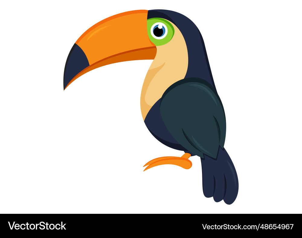Toucan bird isolated on white background Vector Image