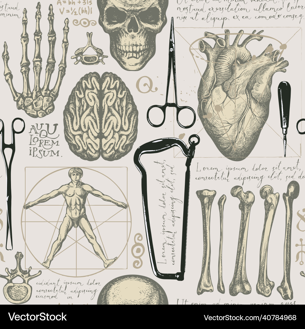 Retro seamless pattern with human bones and organs Retro seamless pattern with human bones and organs vector image