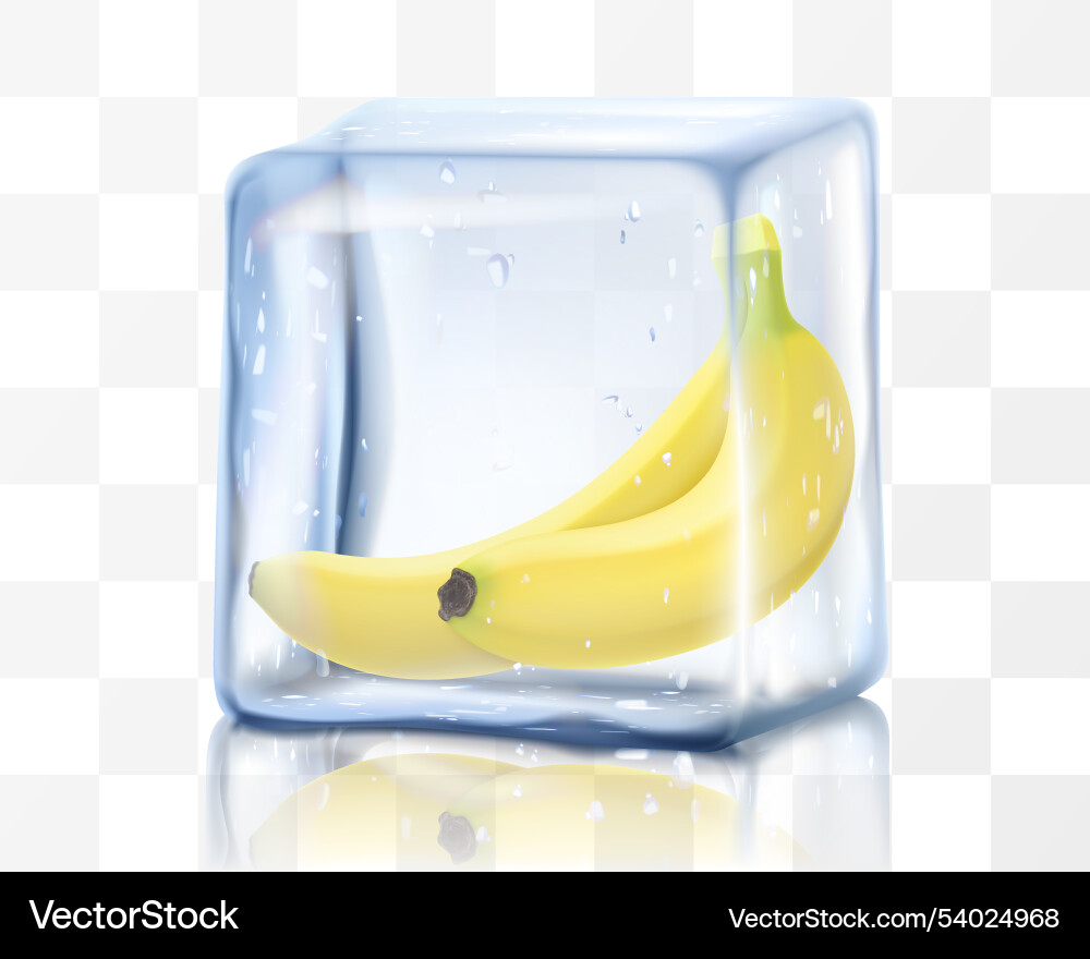 Ripe sweet banana fruits in ice cube isolated Ripe sweet banana fruits in ice cube isolated vector image