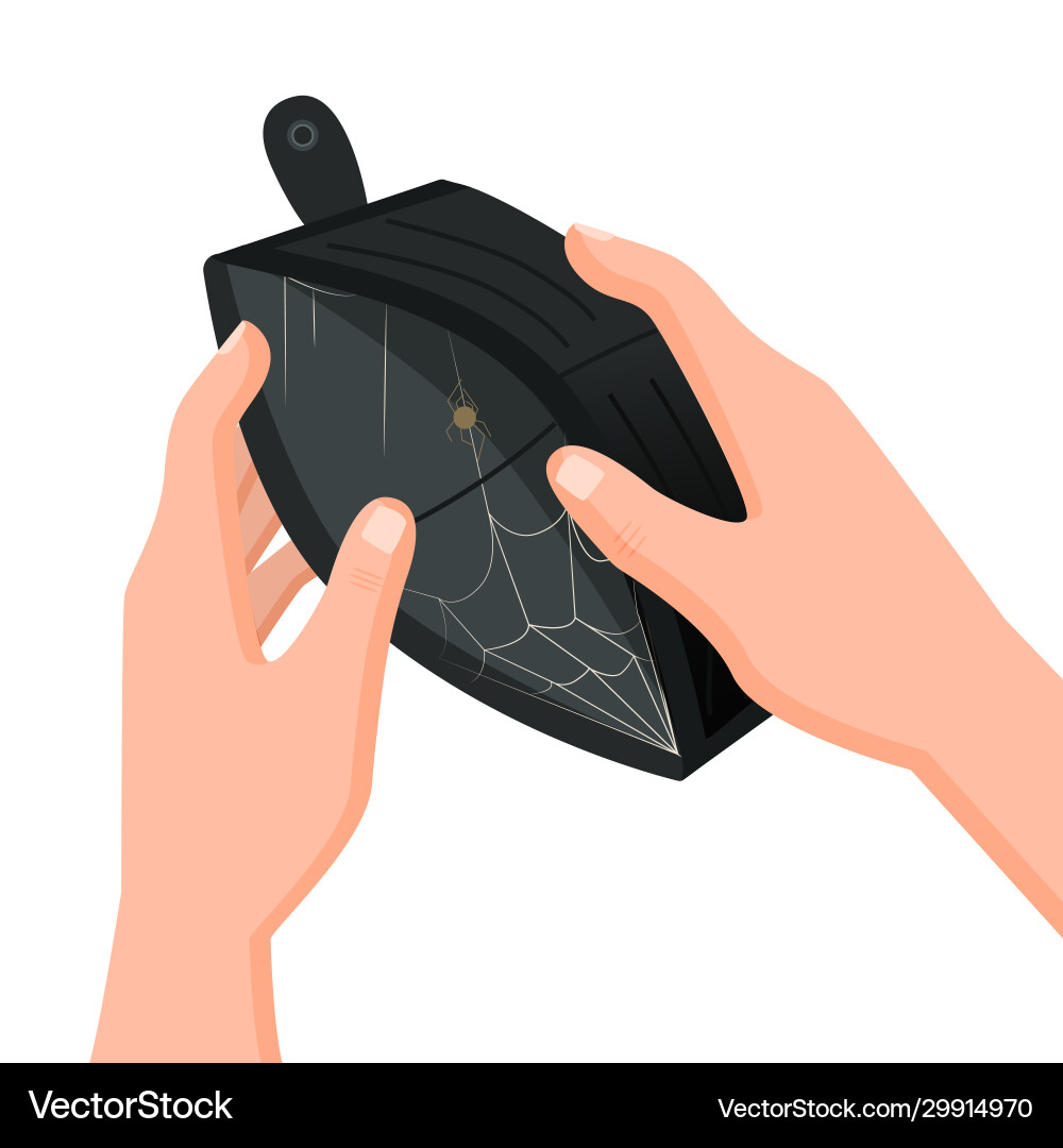 Empty Wallet with Spiderweb vector image