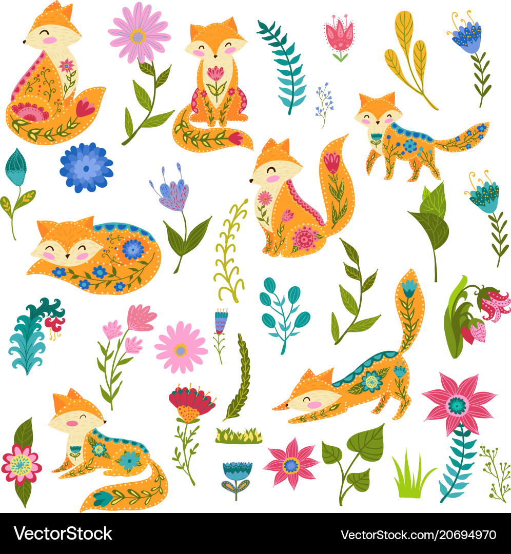 Fox & Floral Set Vector Image