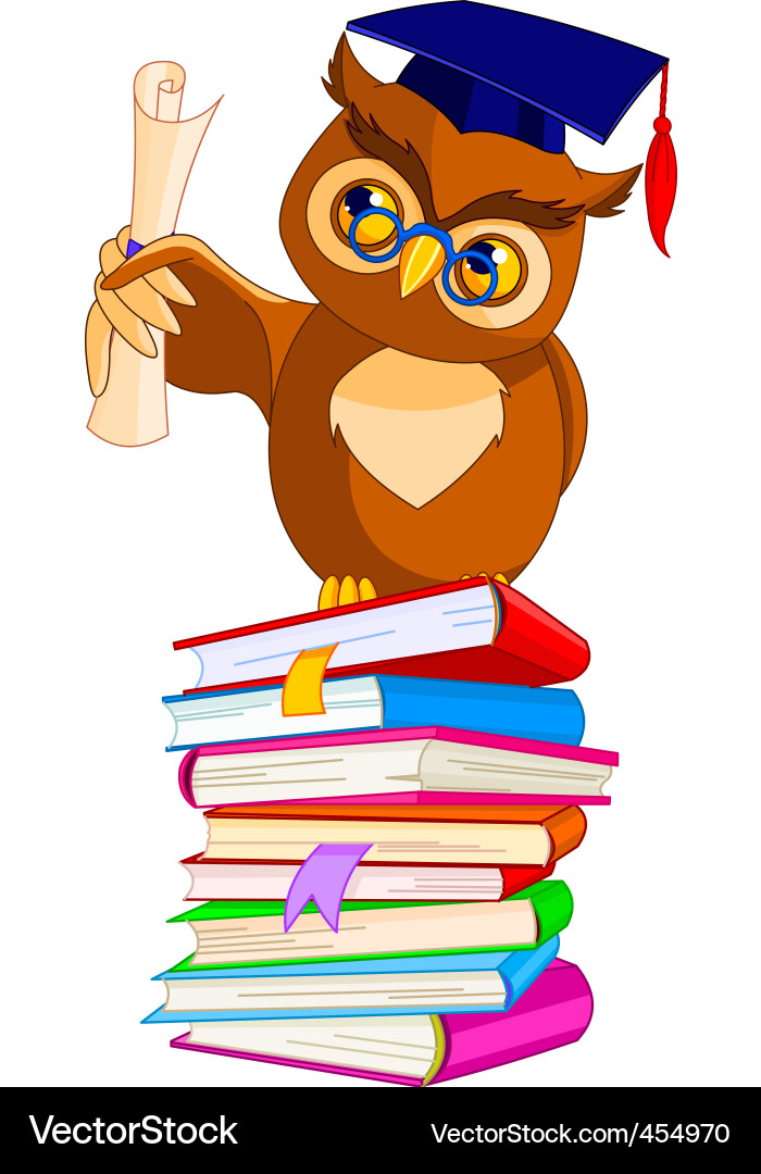 Wise Owl Graduation Vector Image