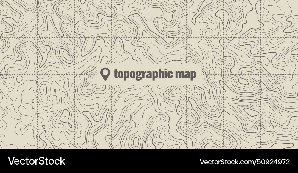 Topographic map with contour lines geographic vector image