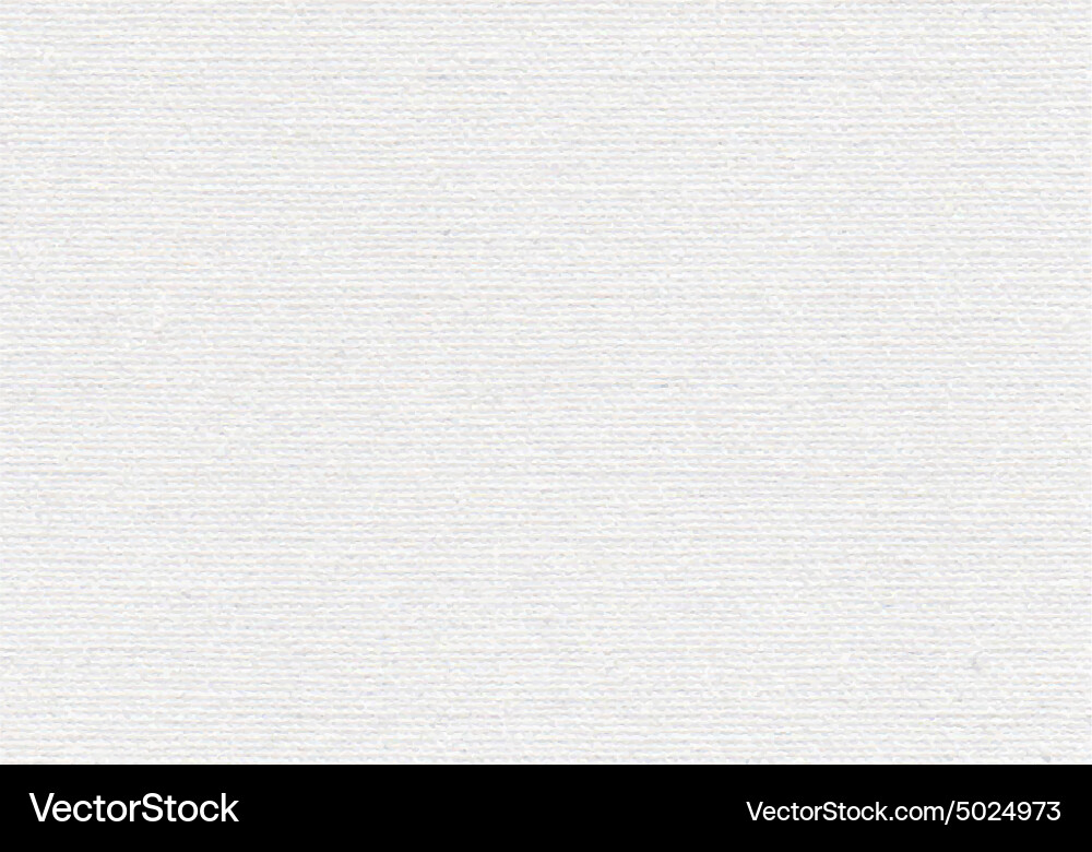 White Canvas Texture with Grid vector image