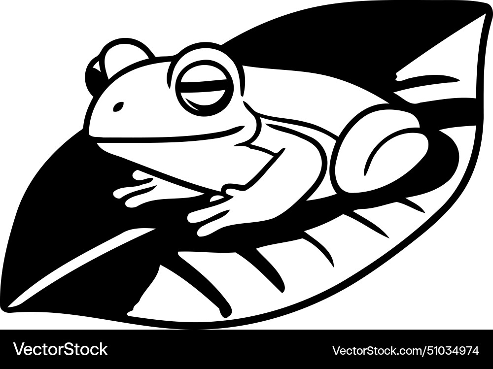 Frog on leaf isolated white background Royalty Free Vector