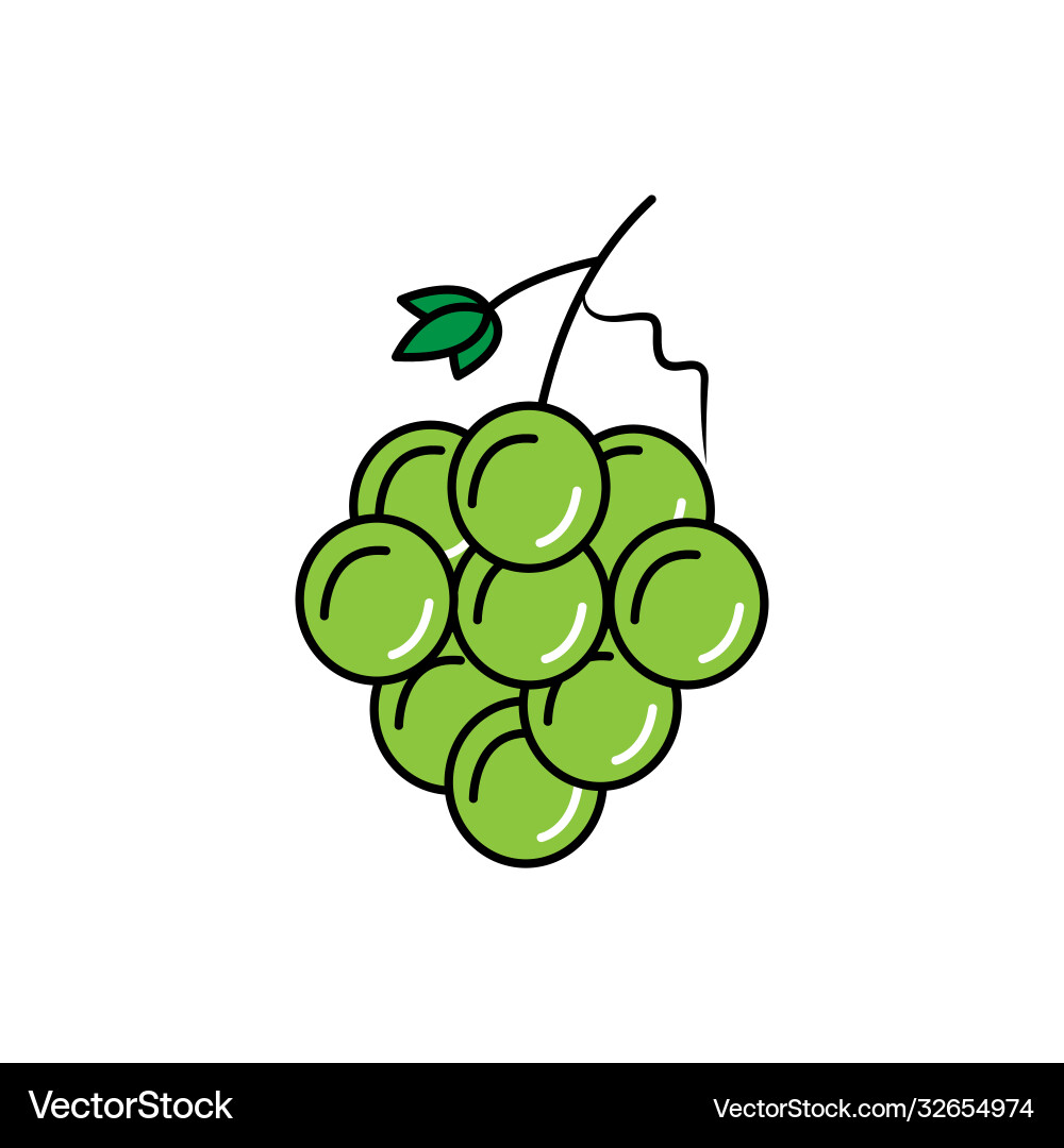 Grape Vector Image