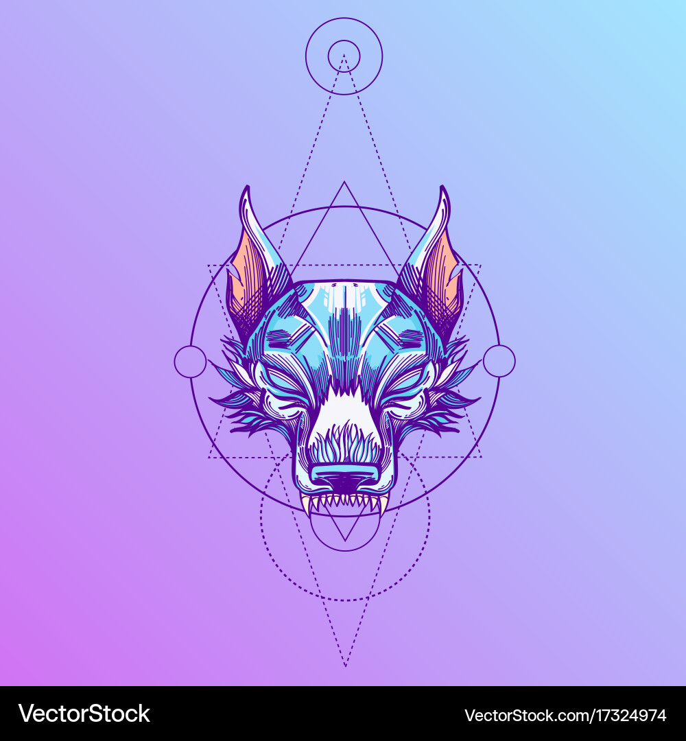 Muzzle of a wolf is an for creating sketches vector image