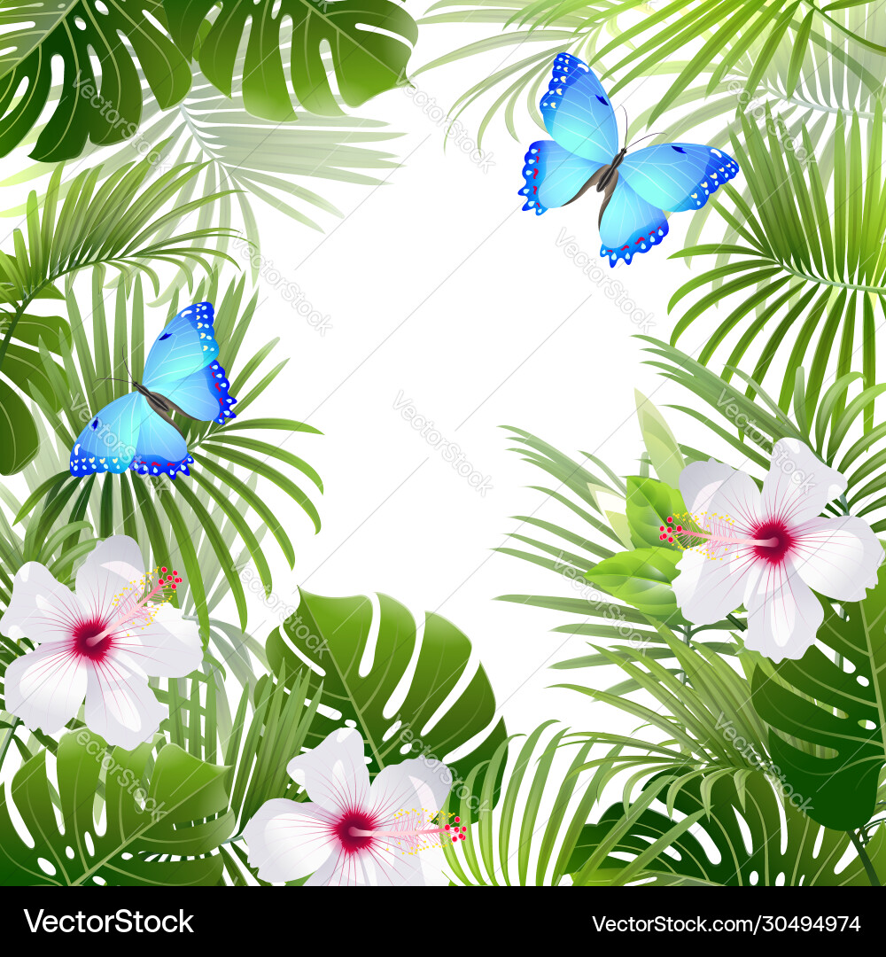 Tropical Botanical Background Vector Image