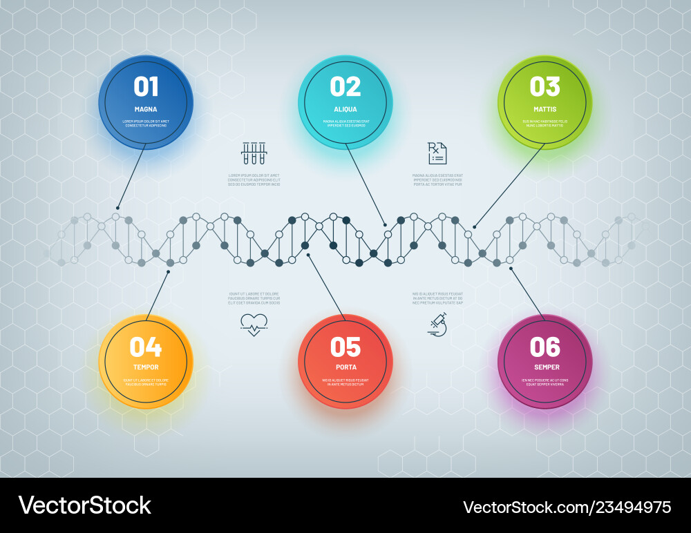 DNA Chain Diagram - Molecular Biology Royalty Free Vector
