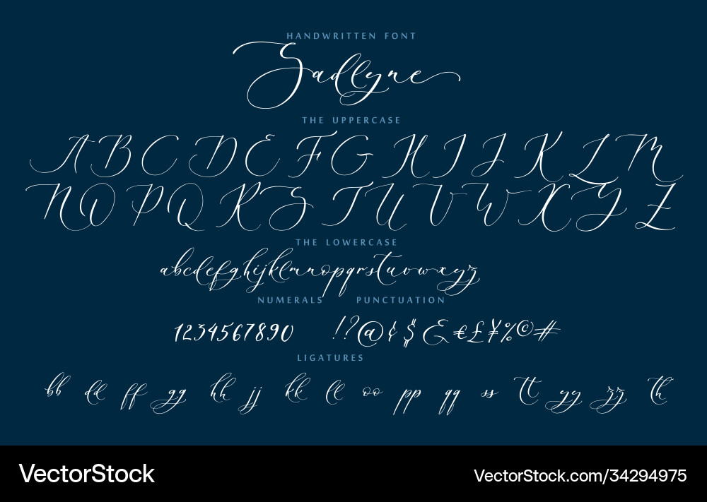 Handwritten script cursive calligraphy playful Handwritten script cursive calligraphy playful vector image